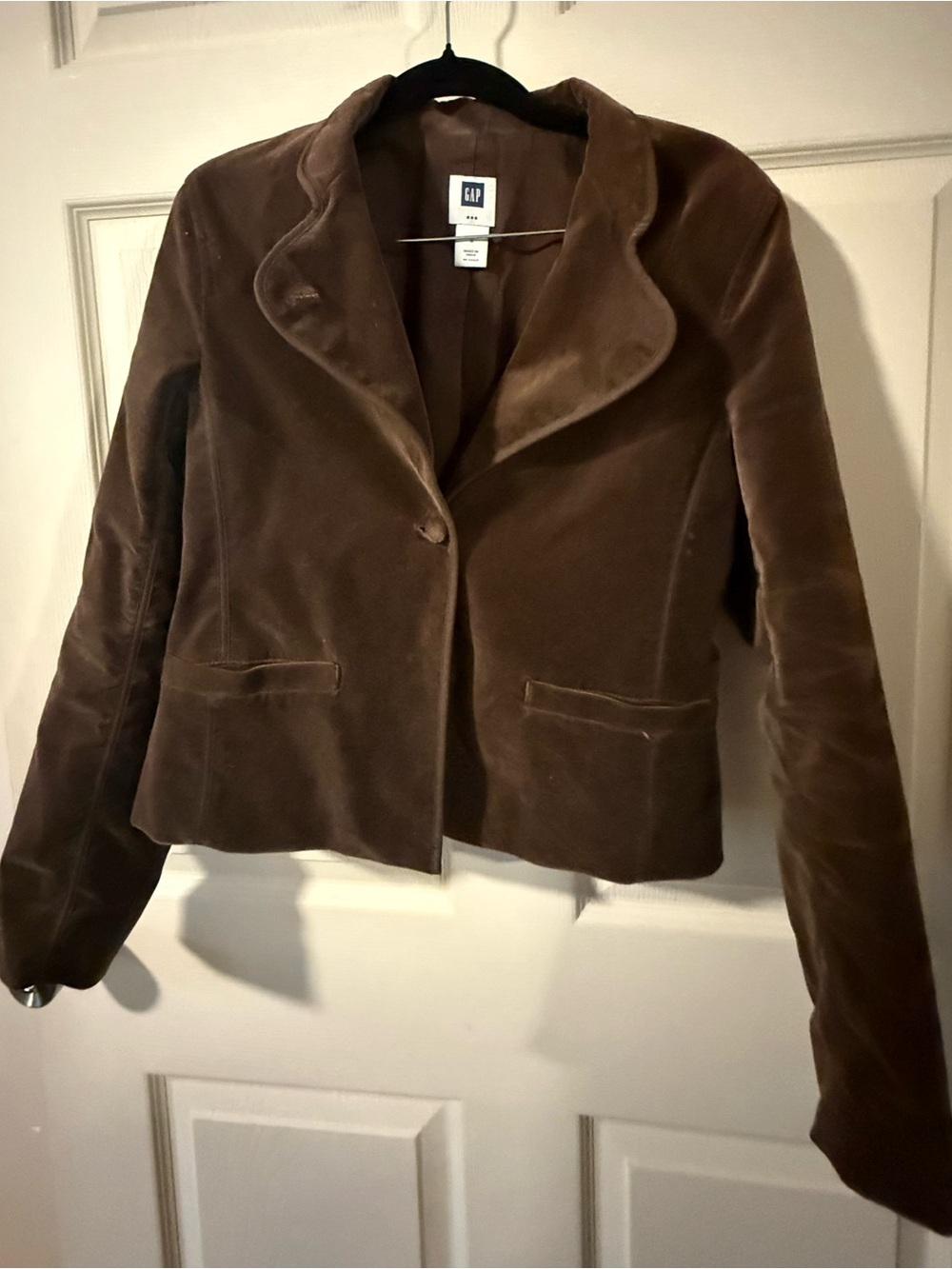GAP Women's Chocolate Brown Velvet Blazer